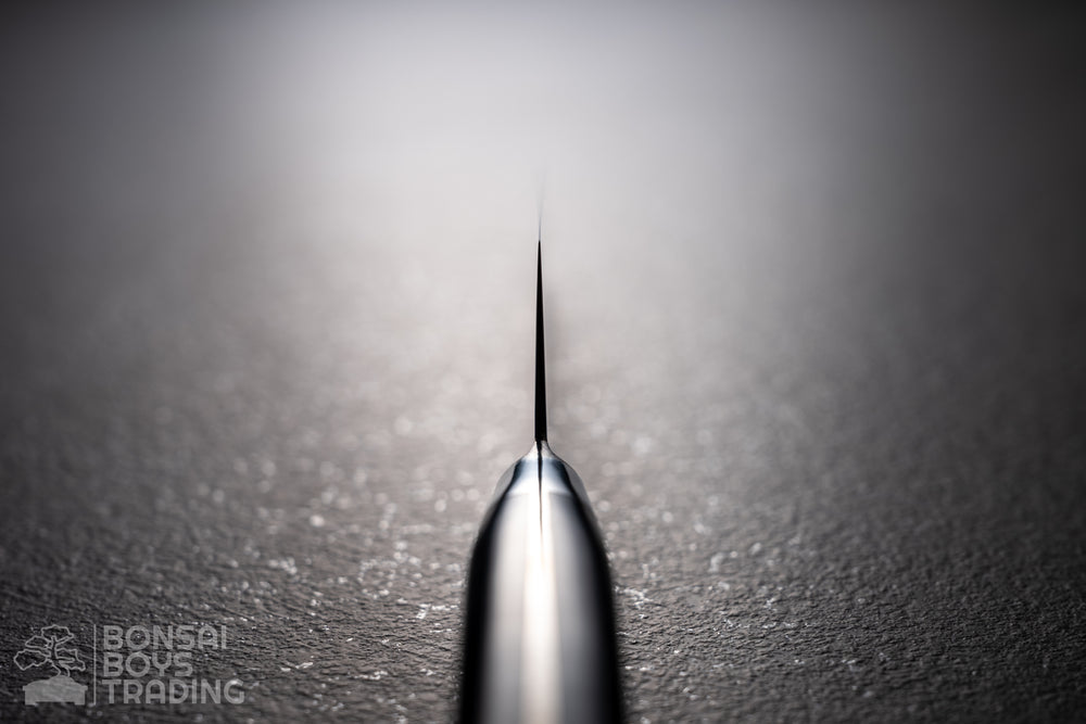 Fujitora 180mm gyuto