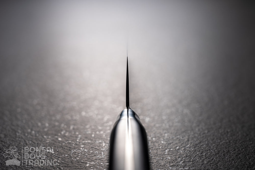 Fujitora 210mm gyuto