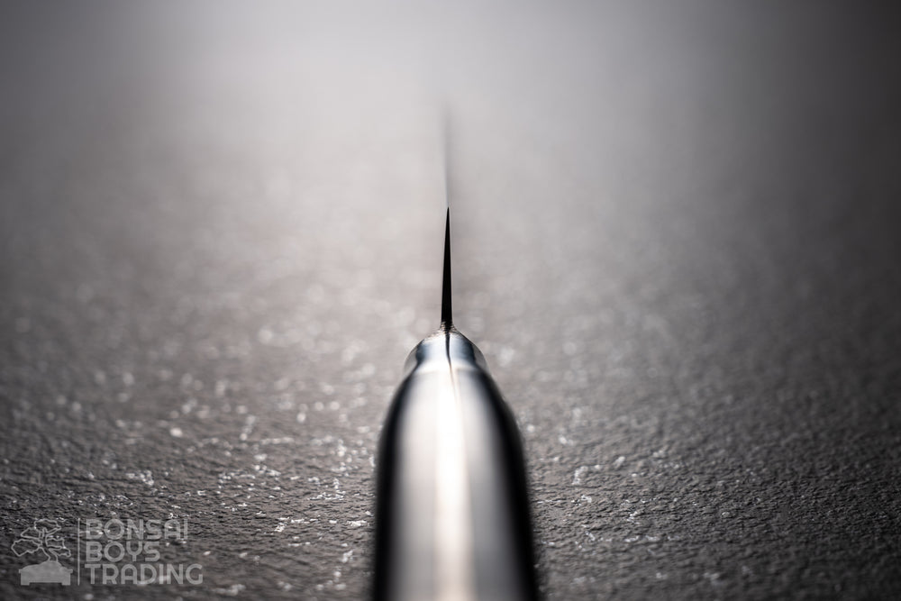 Fujitora 240mm sujihiki