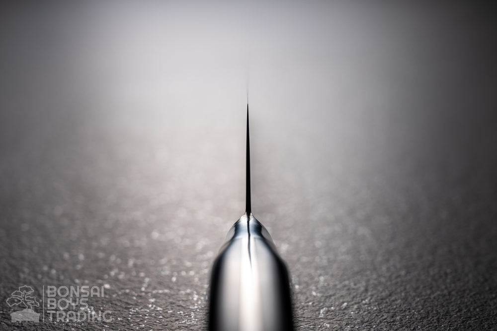 Fujitora 240mm gyuto