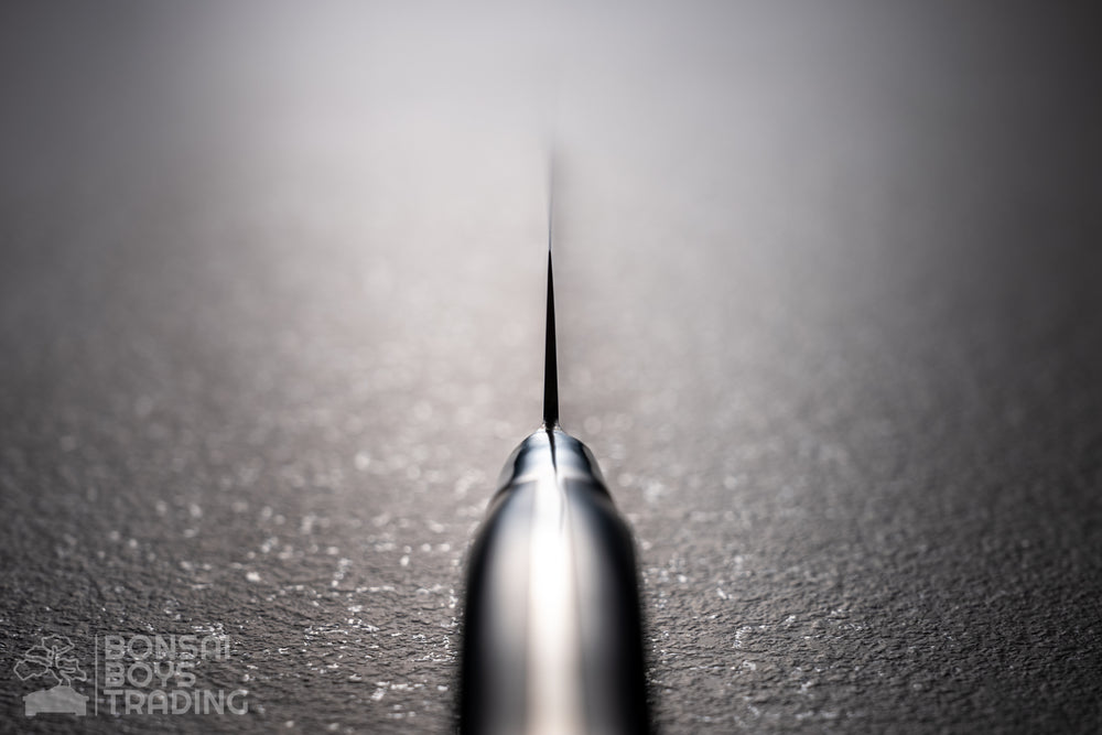 Fujitora 270mm sujihiki